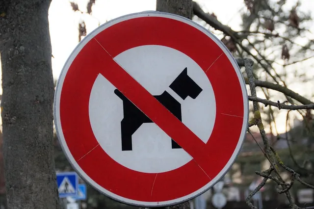 Blechschild Bullterrier England 1850 hund  Metallschild tin sign Deko