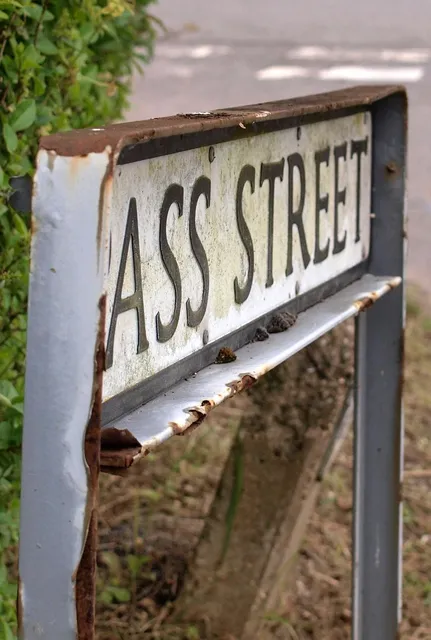 Blechschild the other car of my wife is a broom  Metallschild tin sign Deko