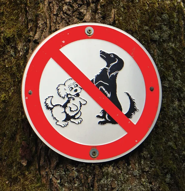 Blechschild Hund In diesem Haus wacht ein Bluthund Metallschild 20x30 tin sign  