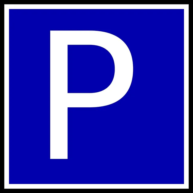 Blechschild Princess Prinzessin Parking only parkschild tin sign metallschild deko 