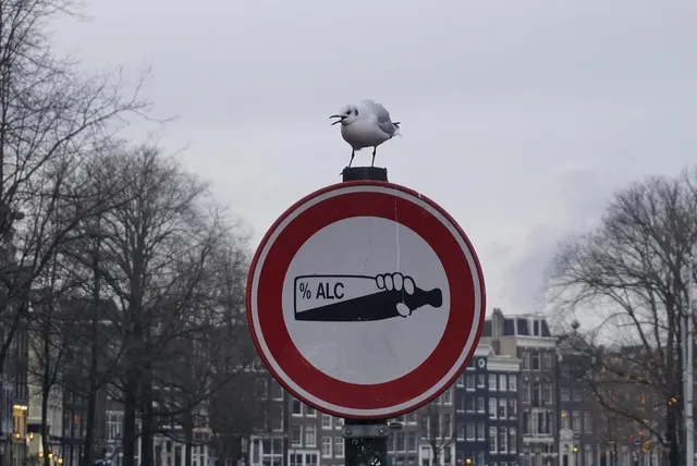 Blechschild Füttern verboten! ... kann für Tiere tödlich enden! 