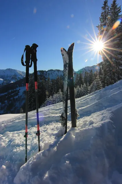 Blechschild Wengen Schweiz ski frau  Metallschild tin sign Deko
