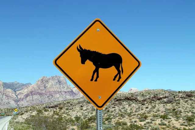 Blechschild Das Leben ist zu kurz für kleine Motoren 