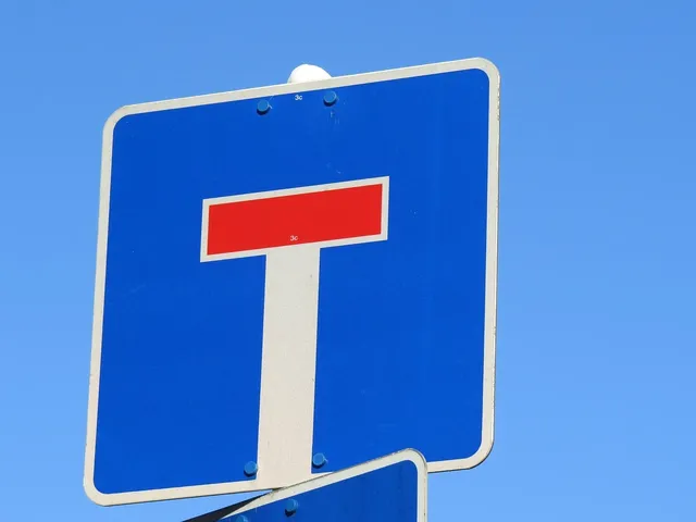 Blechschild Ein Mädchen sollte niemals vergessen, daß sie niemanden braucht… Metallschild Dekoschild tinsign