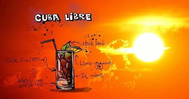Blechschild Alkohol Cuba Libre Rezept Havanna Metallschild 20x30 Deko tin sign
