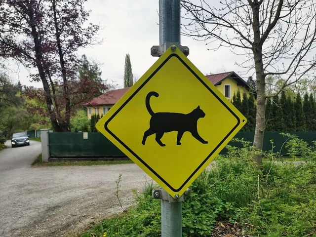 Blechschild Birma Katze 1925  Metallschild tin sign Deko