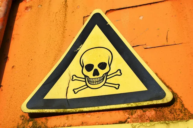 Blechschild Hund Dieses Haus bewacht ein Malteser Metallschild 20x30 tin sign  