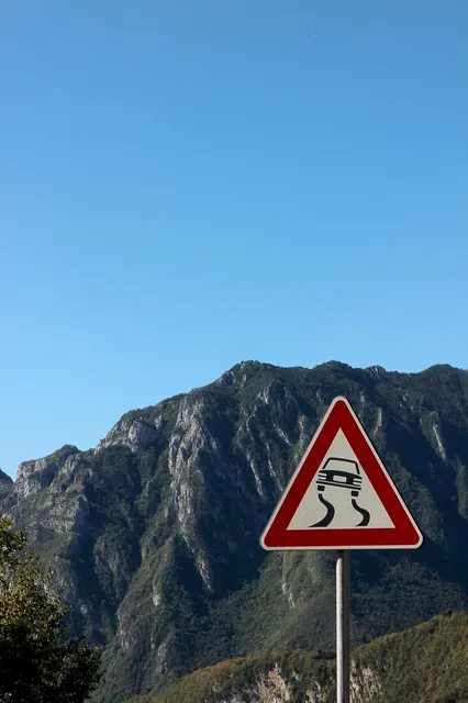Blechschild Irrenanstalt straßenschild 