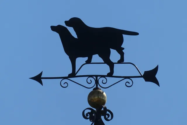 Blechschild Hier wohnt die Verwöhnteste deutsch dogge der welt blechchild Metallschild tin sign Deko