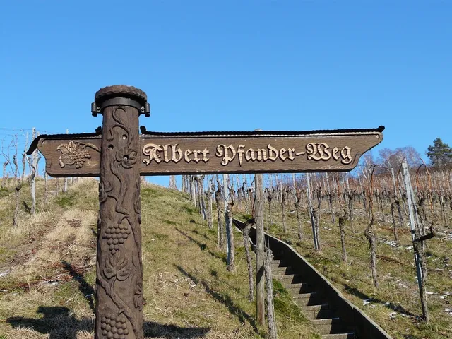 Blechschild Alkohol Wine from around the world rotes Metallschild tin sign Deko
