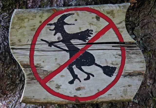 Blechschild Eine beziehung ist wie eine wiese…lustig spruch 