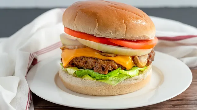 Blechschild Gormet Burgers Fresh & delicious you´ll love it! 20X30 cm