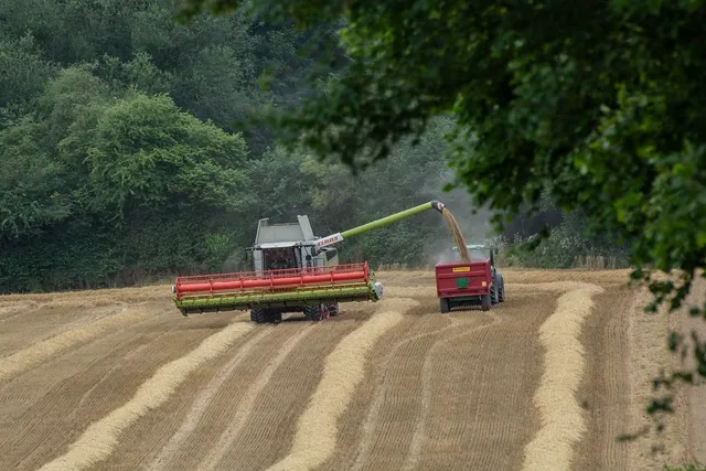 Fun Bilderrahmen Bautz Erntemaschine Nostalgie Reklame 