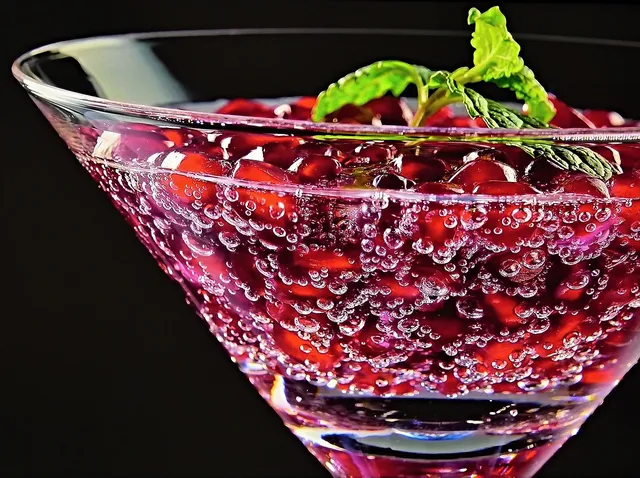 Blechschild Alkohol Cocktails Rezepte Sangria Metallschild Deko 20x30 tin sign