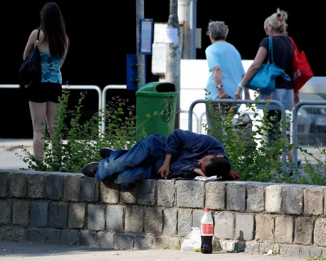 Fun Bilderrahmen Es gibt viele Kräuter gegen jede Krankheit.  Deko