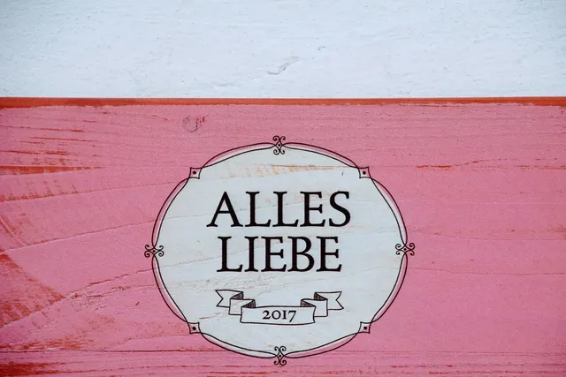 Blechschild Alkohol Absinthe Grüne Fee Metallschild Wanddeko 20x30 cm tin sign