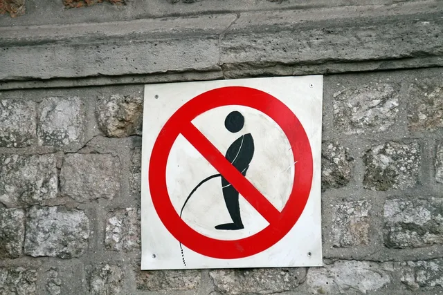 Blechschild FicktEuchAllee straßenschild 