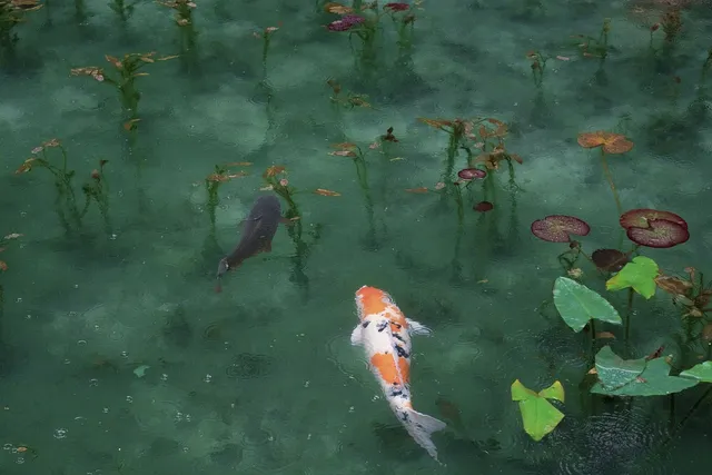 Fun Bilderrahmen fische in Deutschen flüssen angeln 
