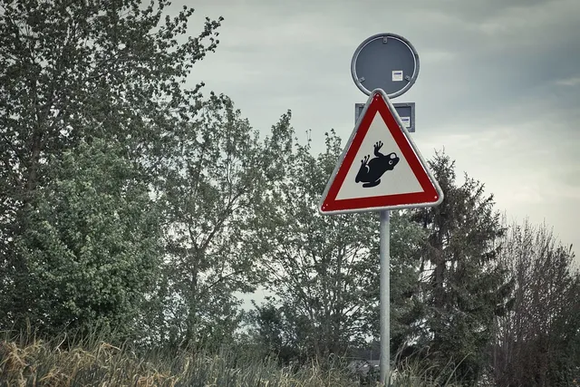 Blechschild forget the rest stick with the best  Metallschild tin sign Deko