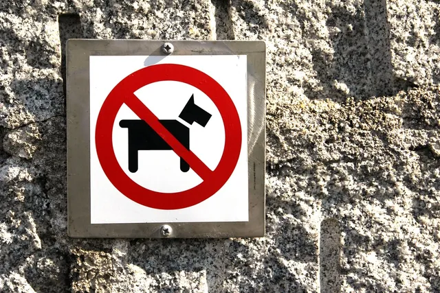 Blechschild Hund Kein Heim ohne Dobermann Metallschild Wanddeko 20x30 tin sign