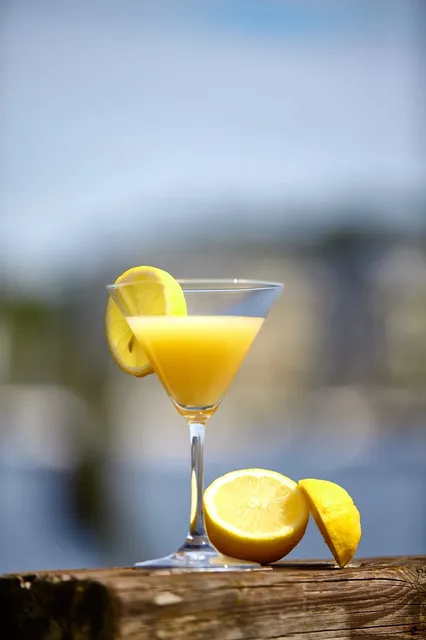 Fun Bilderrahmen Alkohol Cocktails Rezept Gimlet Rahmen Deko 20x30cm  