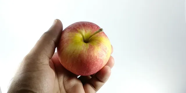 Blechschild Frische Äpfel 