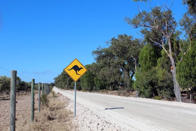 Blechschild Hier wohne ich hund straßenschild 