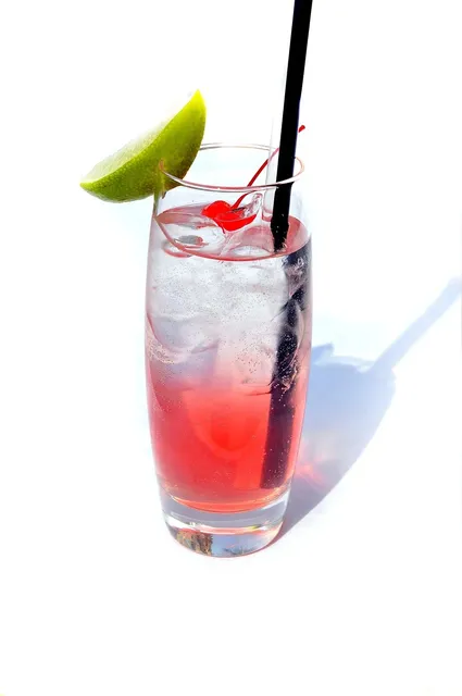 Blechschild Alkohol Cocktails Rezept Gimlet Metallschild Deko 20x30cm tin sign 