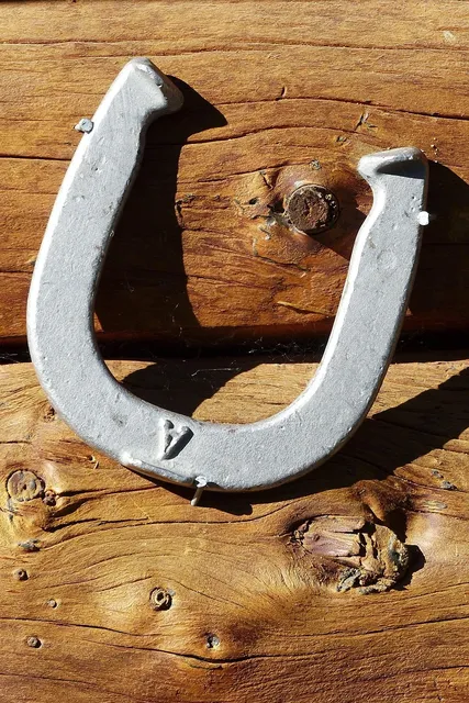 Blechschild  mit Kordel 20x30cm
