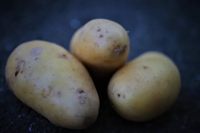 Blechschild Frische Kartoffeln 