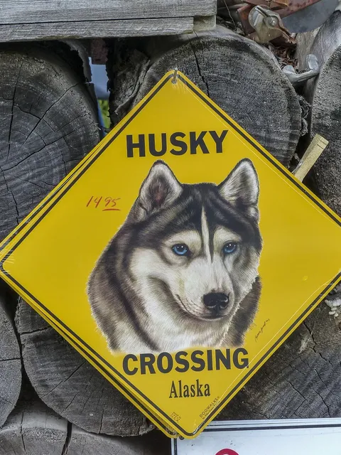 Blechschild ALKOHOL verkürzt das Leben um die Hälfte, dafür sieht man aber alles doppelt! Metallschild tin sign Dekoschild 27x10