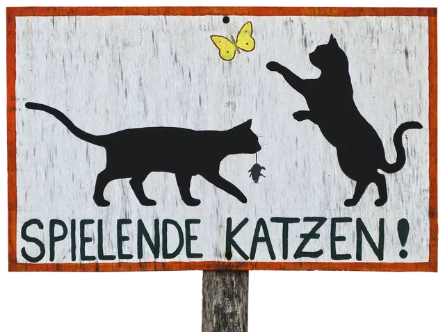 Blechschild Fotografieren Verboten Metallschild tin sign Deko