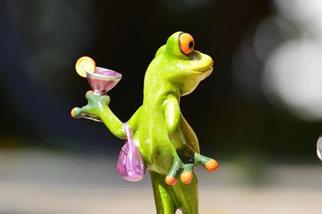 Blechschild Summertime Cocktail Frosch Metallschild Wanddeko 20x30 cm tin sign 